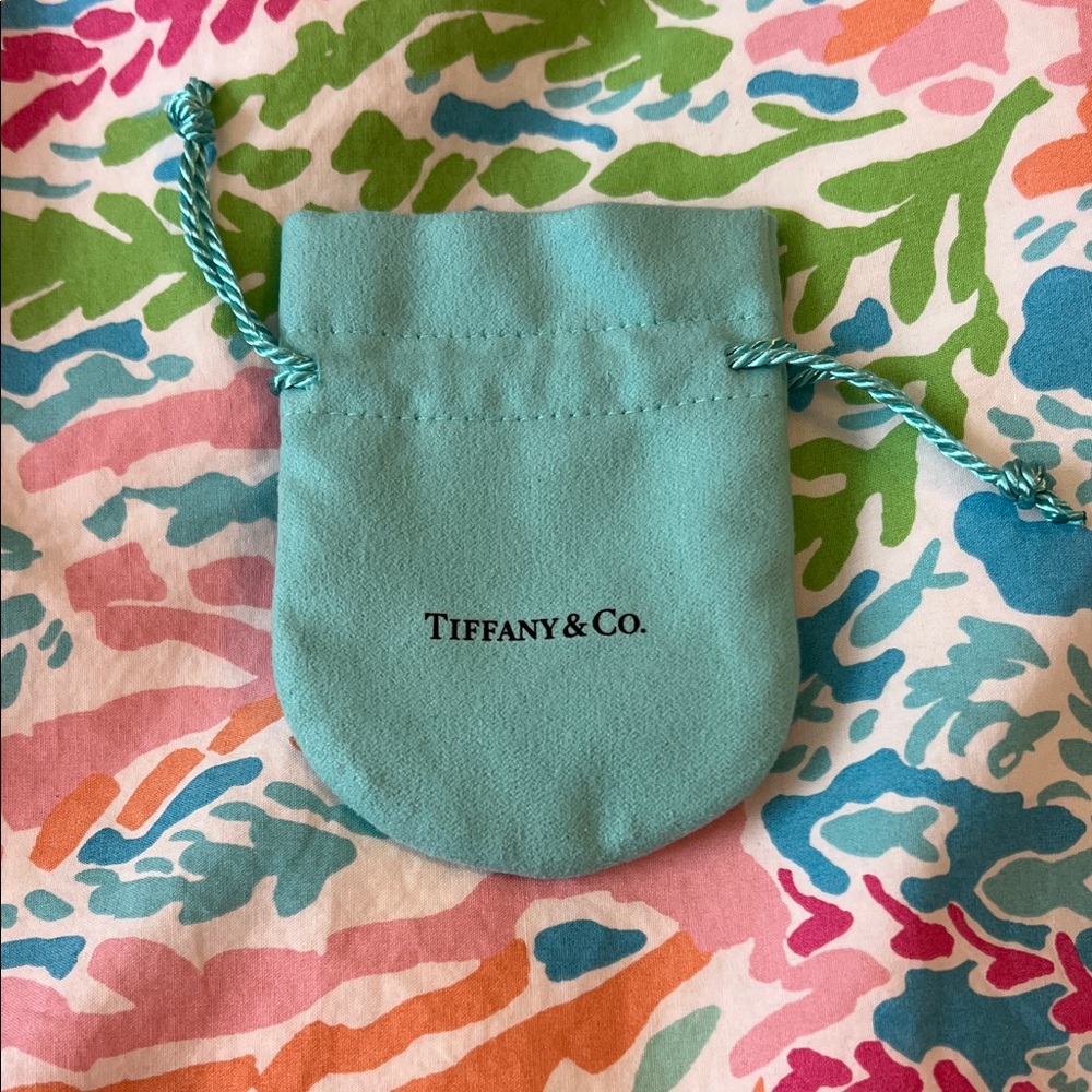 Tiffany & Co. Robin's Egg Blue Velvet Drawstring Pouch